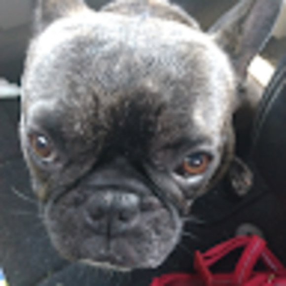 Meet your Posher, Addides - Picture 1 of 1